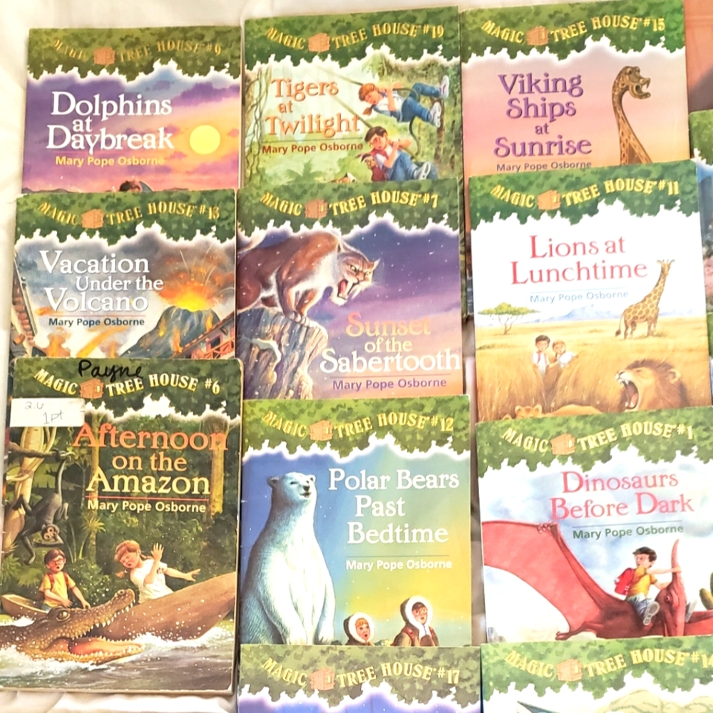 17 Magic Tree House Books!
